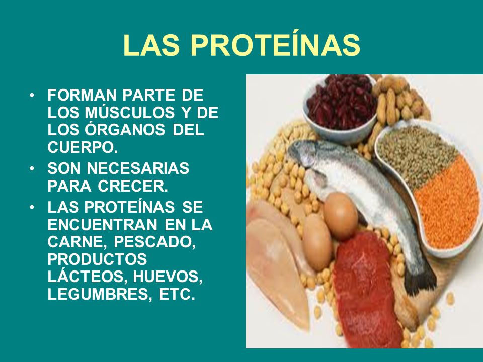 alimentos en los que se encuentran proteinas alimentos en los que se encuentran proteinas